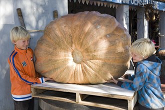 Children admire a giant pumpkin