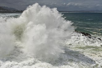 Wave crashing on rocks