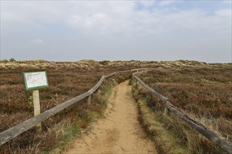 Hiking trail to Morsumer Cliff