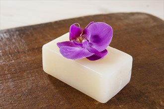 Orchid flower lying on a bar of soap