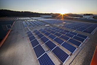 Solar energy plant at sunset