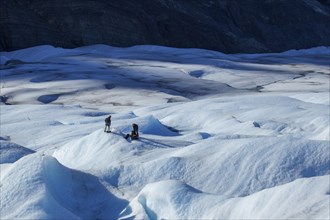 Ice climbers on Grey Glacier