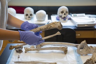 Forensic scientist at Baylor University working to identify the remains of unidentified migrants