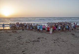 A large crowd gathering as staff and volunteers release newly-hatched turtles into the Gulf of Mexico at dawn
