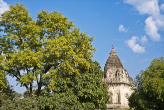 Parvati temple amidsts trees