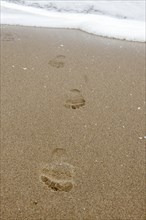 Footprints in the sand