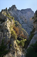 Steep cliffs in the Gola Gorropu gorge
