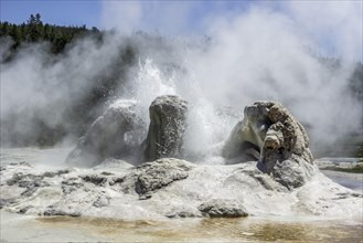 Grotto Geyser