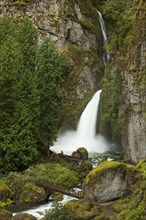 Wahclella Falls in the Columbia River Gorge