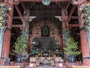 Big Buddha Statue in Todaiji Temple