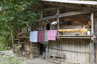 Traditional wooden house near Uzungol