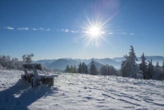 Winter bench in front of Alps on a sunny day