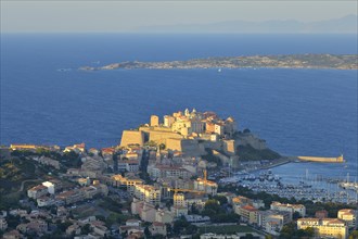 The town of Calvi with citadel and marina