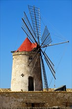 Ettore e Infersa salt mill and windmill