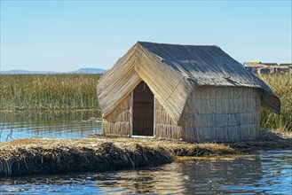 Reed hut