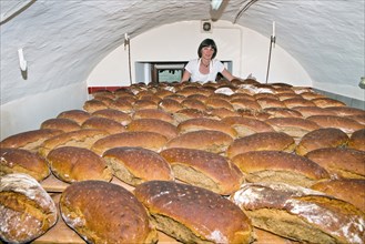 Farmer making bread in her own bakery at the farm