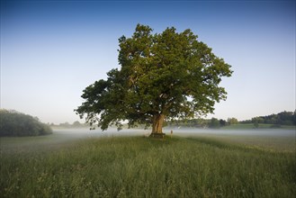 Morning atmosphere