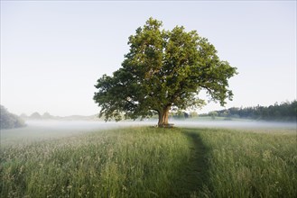 Morning atmosphere