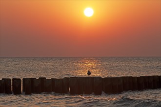 Evening sun on the Baltic Sea