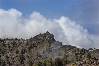 View from Pico de las Nieves