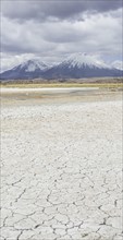 Dried up salt lake with the volcanos Parinacota