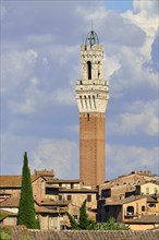 Historic centre with the Torre del Mangia tower