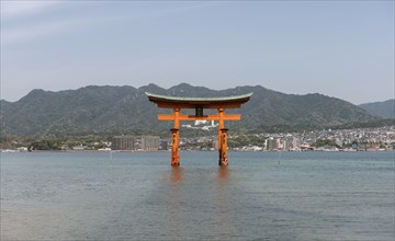 Itsukushima Floating Torii Gate in Water
