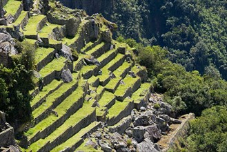 Ruined city of the Incas