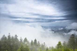 Stormy atmosphere with fog after heavy rain falls on the Schliffkopf mountain