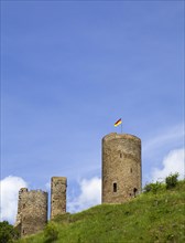 Ruins of the Lowenburg Castle