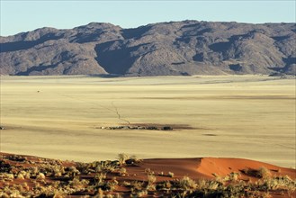 View of the sand dunes of the southern foothills of the Namib Desert and Gunsbewys Farm
