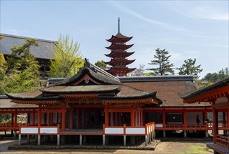 Itsukushima Shrine and Toyokuni Shrine