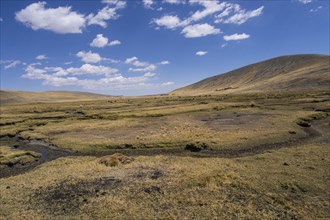 Bolivian plateau Altiplano