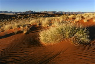 Southern foothills of the Namib desert