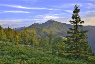 Mountain landscape