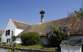 Farmhouse with a stork's nest
