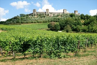 Ramparts of the medieval village of Monteriggioni