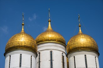 Golden domes of the Assumption Cathedral on Sabornaya Square