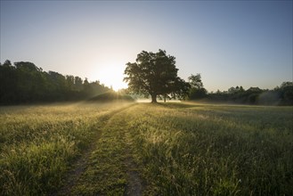 Morning atmosphere