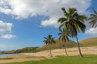 Beach of Anakena