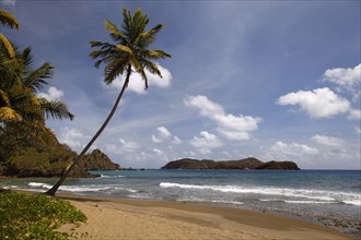 Sandy beach with surf