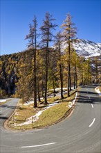 Albula pass road