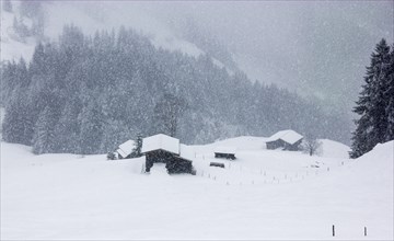 Barn in heavy snow