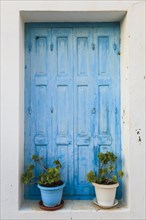 Blue door with potted plants