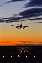 Airplane landing at sunset