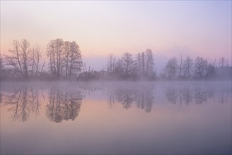 Morning atmosphere with morning fog at a pond