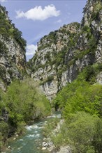 Gorge