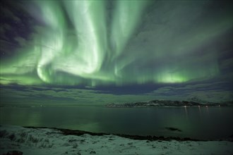 Northern Lights in Sommaroy