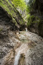 Almbachklamm gorge