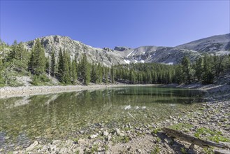 Teresa Lake